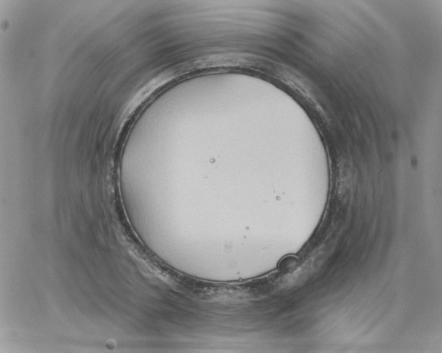 X0000062890786200602031806