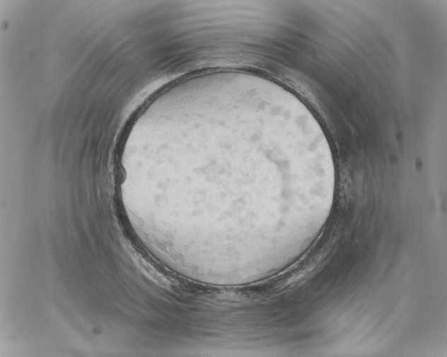 X0000062890787200602031806