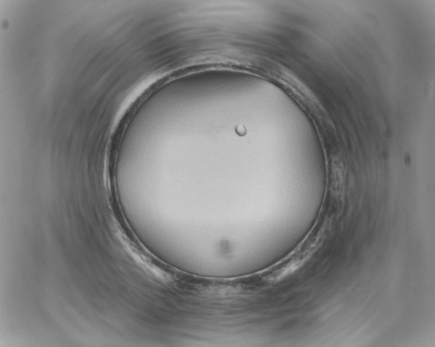 X0000062890788200602031806