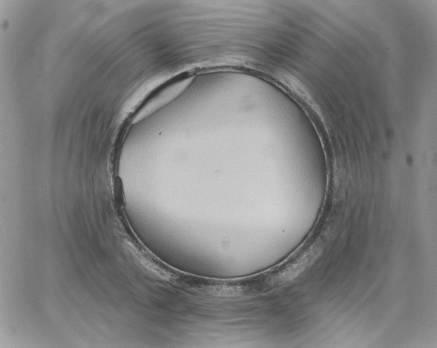 X0000062890789200602031806