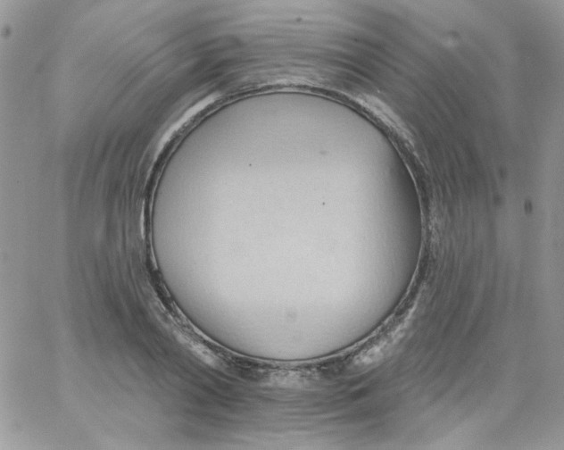 X0000062890790200602031806