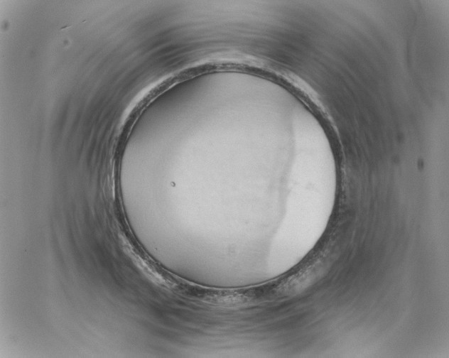 X0000062890791200602031806