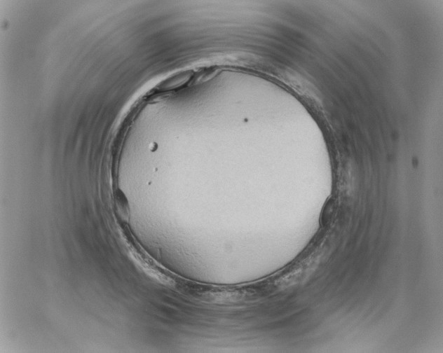 X0000062890792200602031806