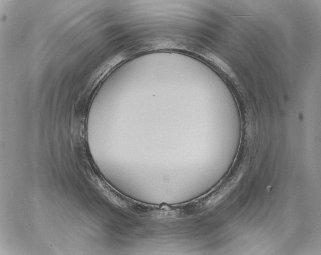 X0000062890793200602031806