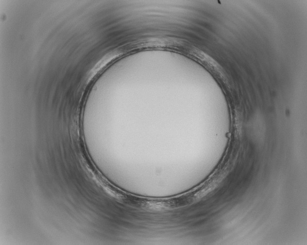 X0000062890794200602031806