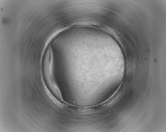 X0000062890795200602031806