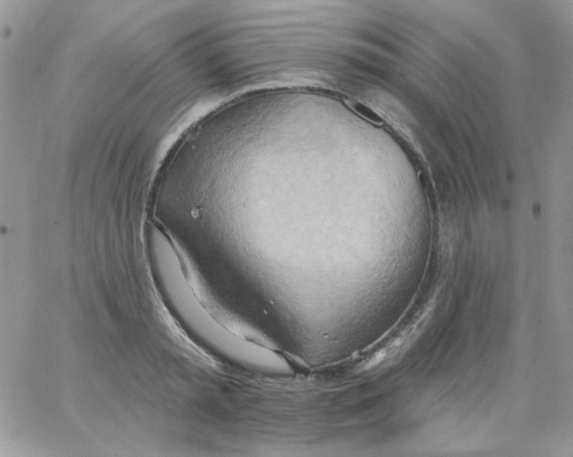 X0000062890797200602031806