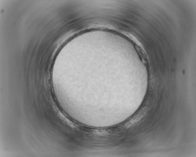 X0000062890799200602031806