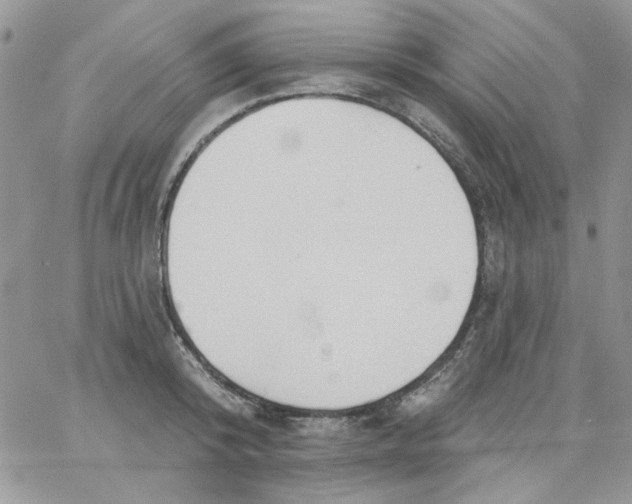 X0000062890800200602031806