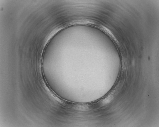 X0000062890802200602031806