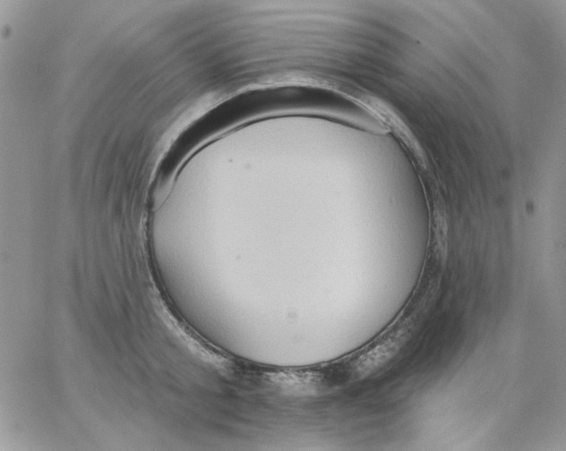 X0000062890805200602031806