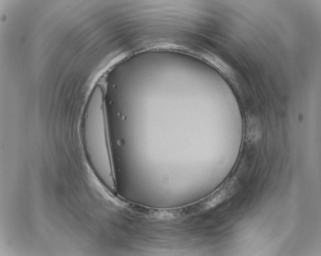 X0000062890806200602031806