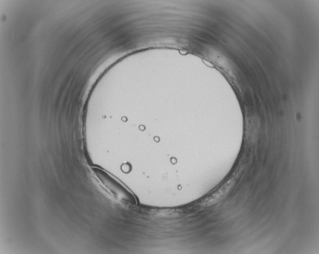 X0000062890808200602031805