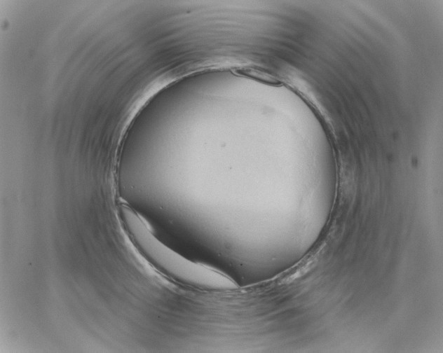 X0000062890810200602031805