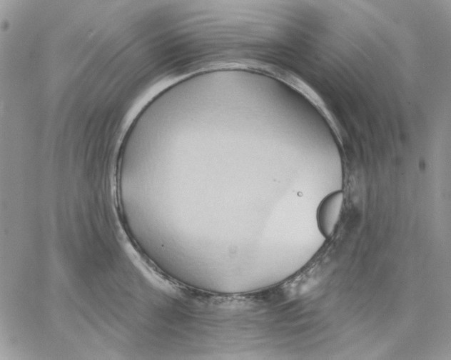 X0000062890811200602031805