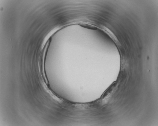 X0000062890812200602031805