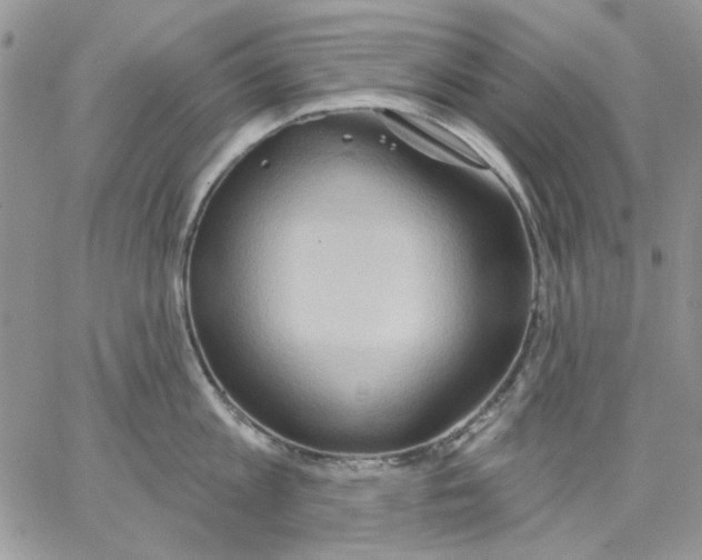 X0000062890813200602031805