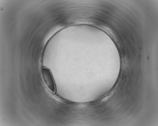 X0000062890814200602031805