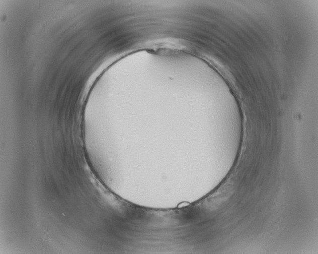 X0000062890816200602031805