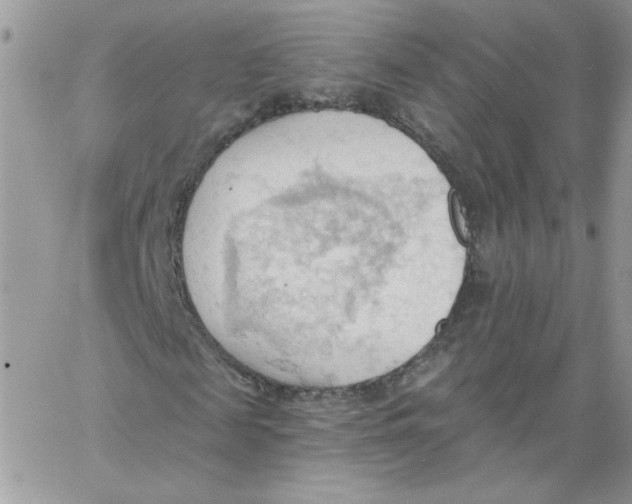 X0000062890817200602031805