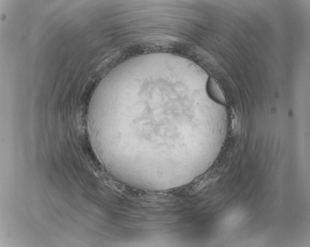 X0000062890819200602031805