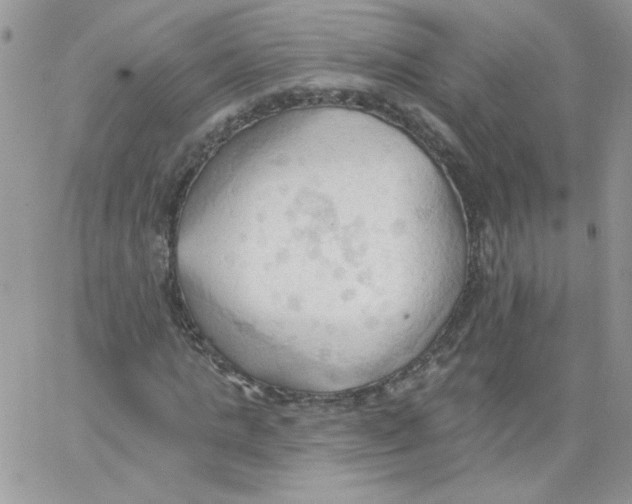 X0000062890821200602031805