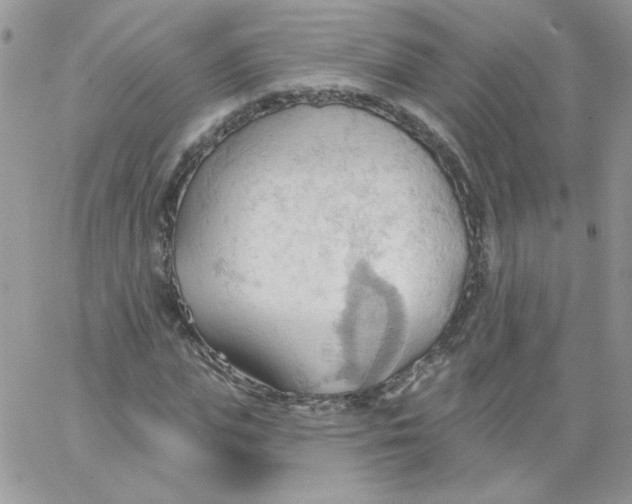 X0000062890823200602031805