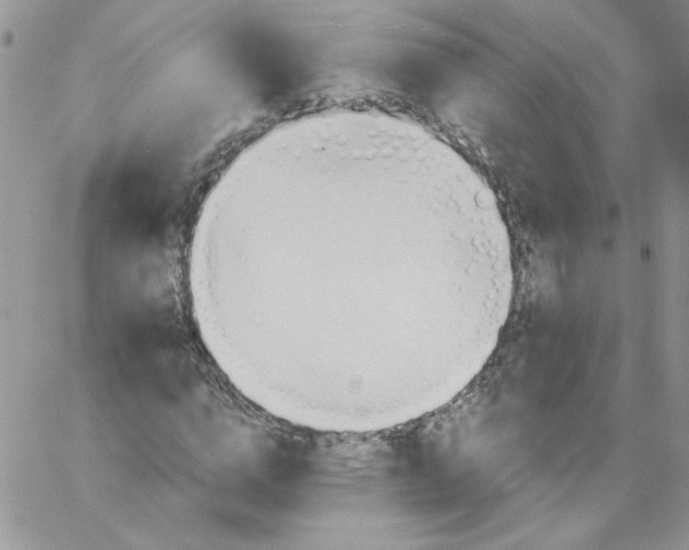 X0000062890824200602031805