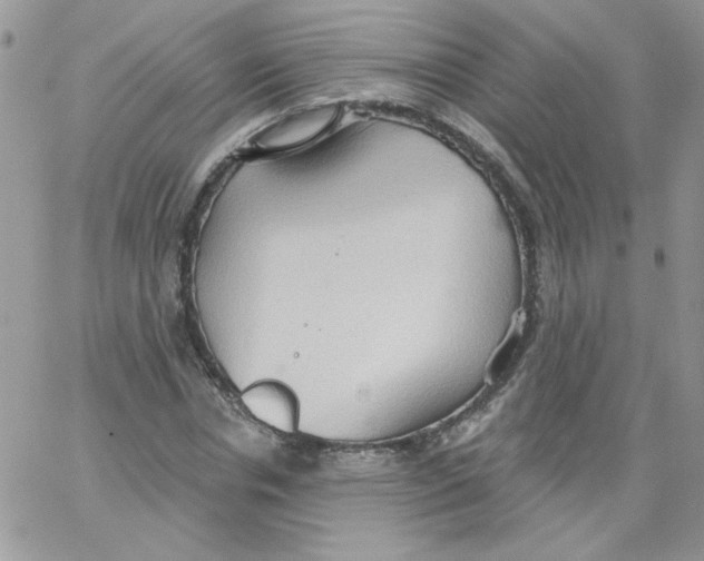 X0000062890826200602031805