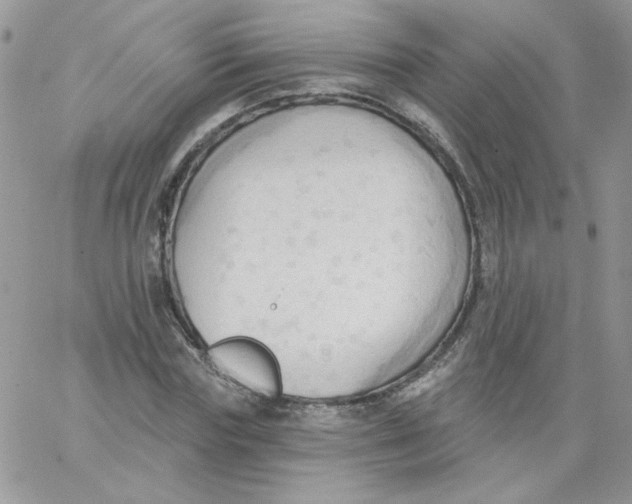 X0000062890827200602031805