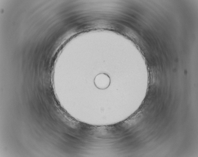 X0000062890828200602031805