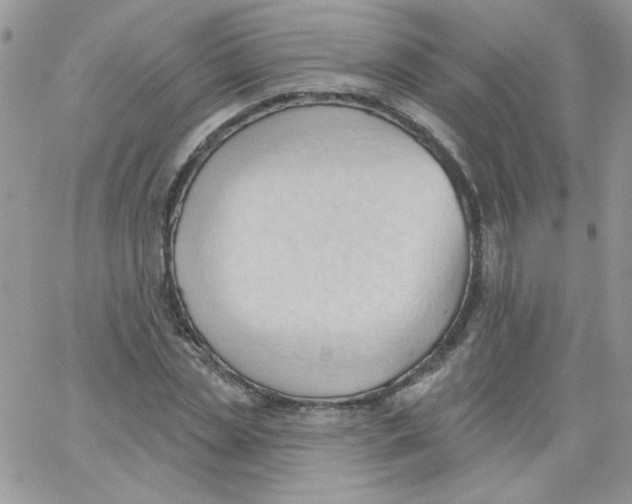 X0000062890829200602031805