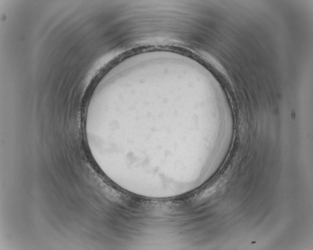 X0000062890831200602031805