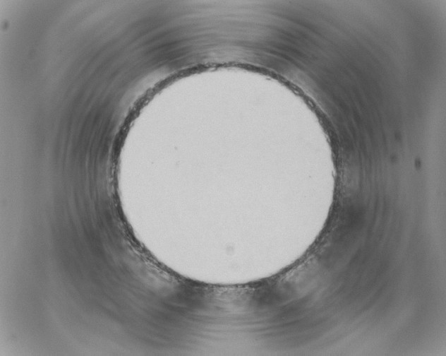 X0000062890832200602031805