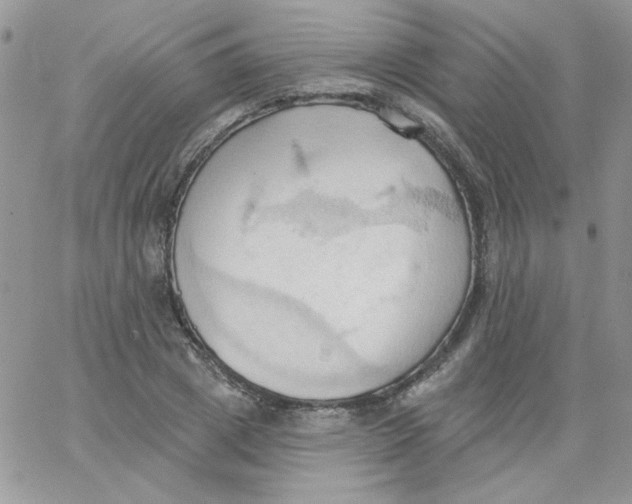 X0000062890833200602031805