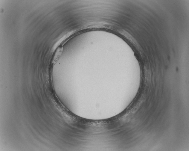 X0000062890834200602031805