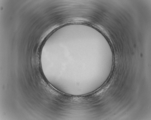 X0000062890835200602031805