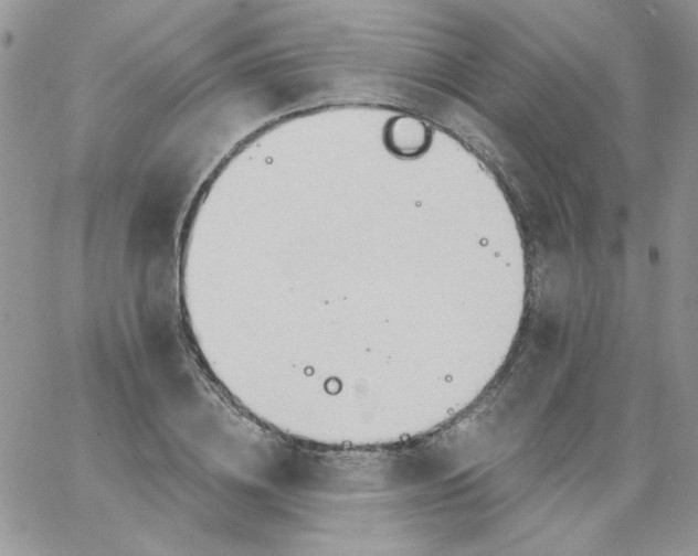 X0000062890836200602031805