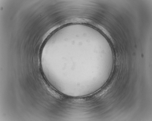 X0000062890837200602031805