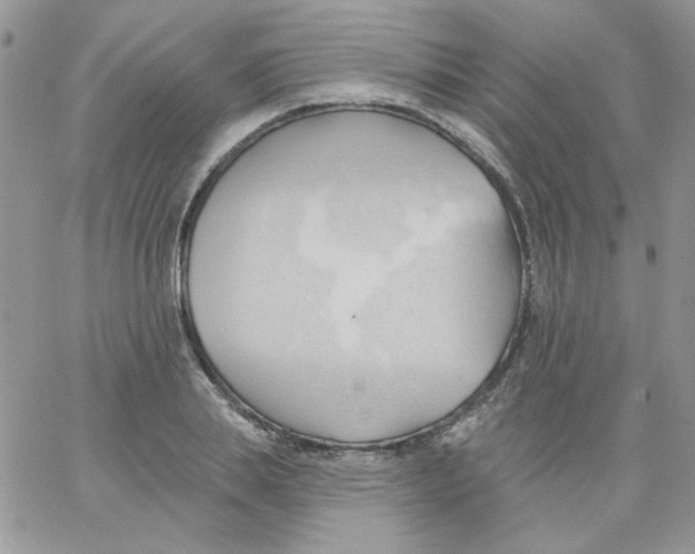 X0000062890839200602031805