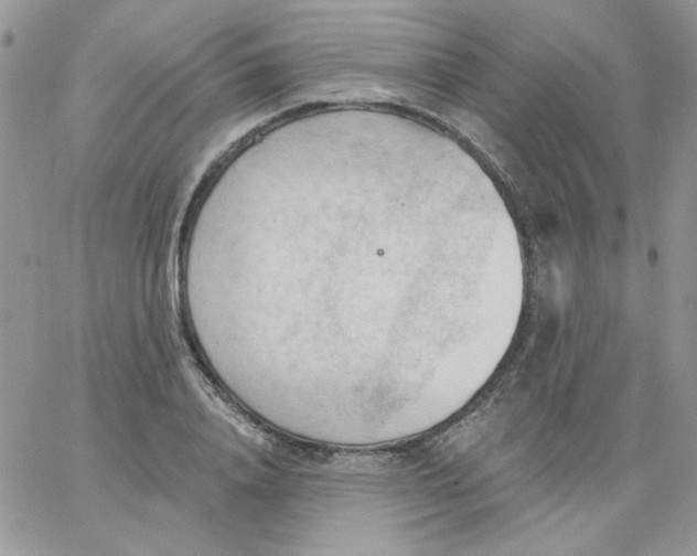 X0000062890840200602031805