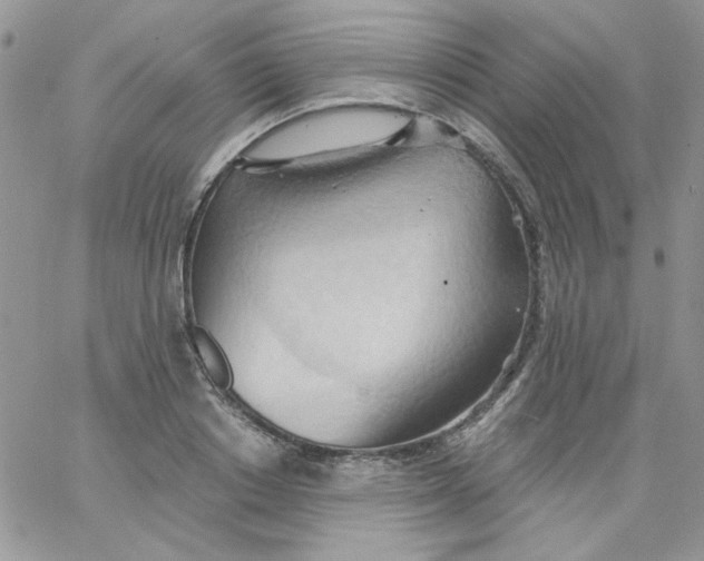 X0000062890842200602031805