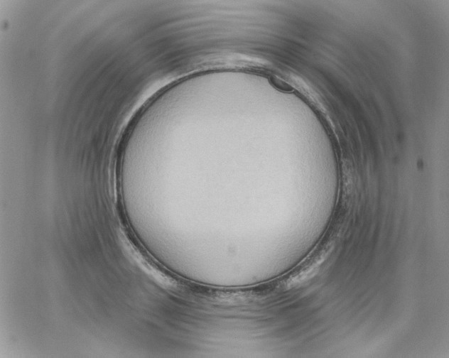 X0000062890843200602031805