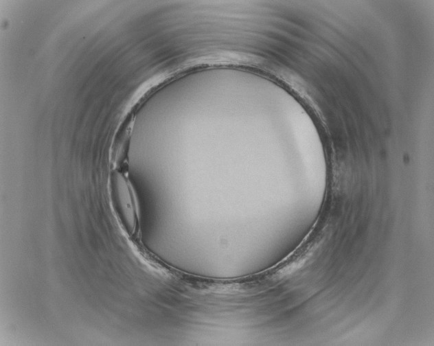 X0000062890845200602031805