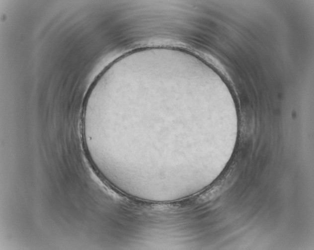 X0000062890847200602031805