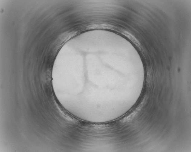 X0000062890849200602031805