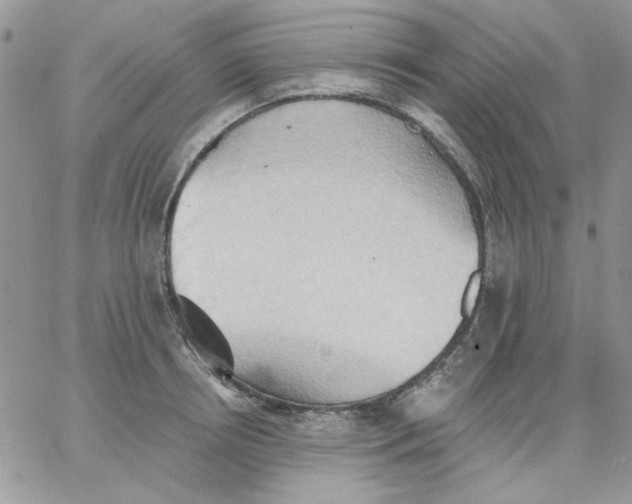 X0000062890850200602031805