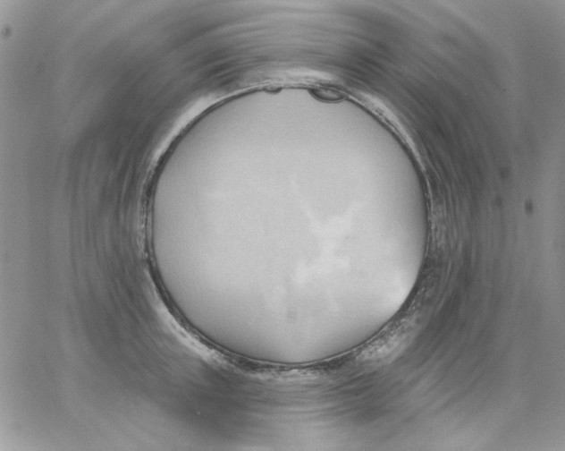 X0000062890851200602031805