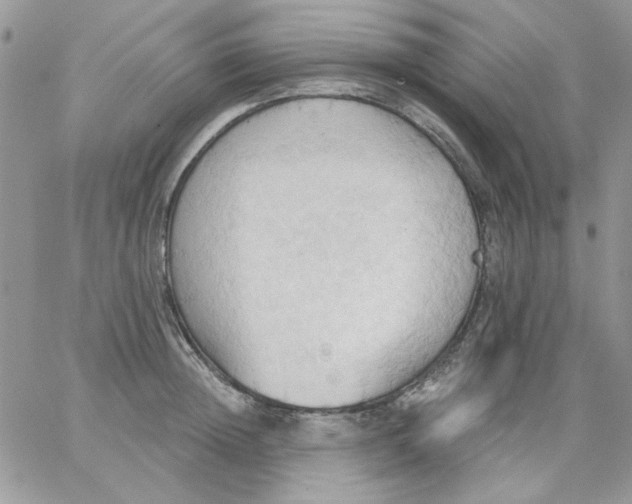 X0000062890852200602031805