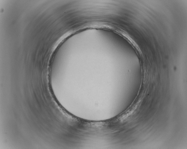 X0000062890853200602031805